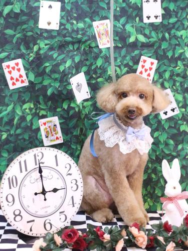 20250402レオくん